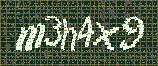 CAPTCHA_picture