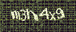 CAPTCHA_picture